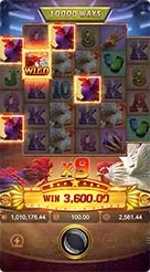 Rooster Rumble · Memeriksa tiga panel angka: saldo, nilai taruhan, dan riwayat menang pada panel kontrol.